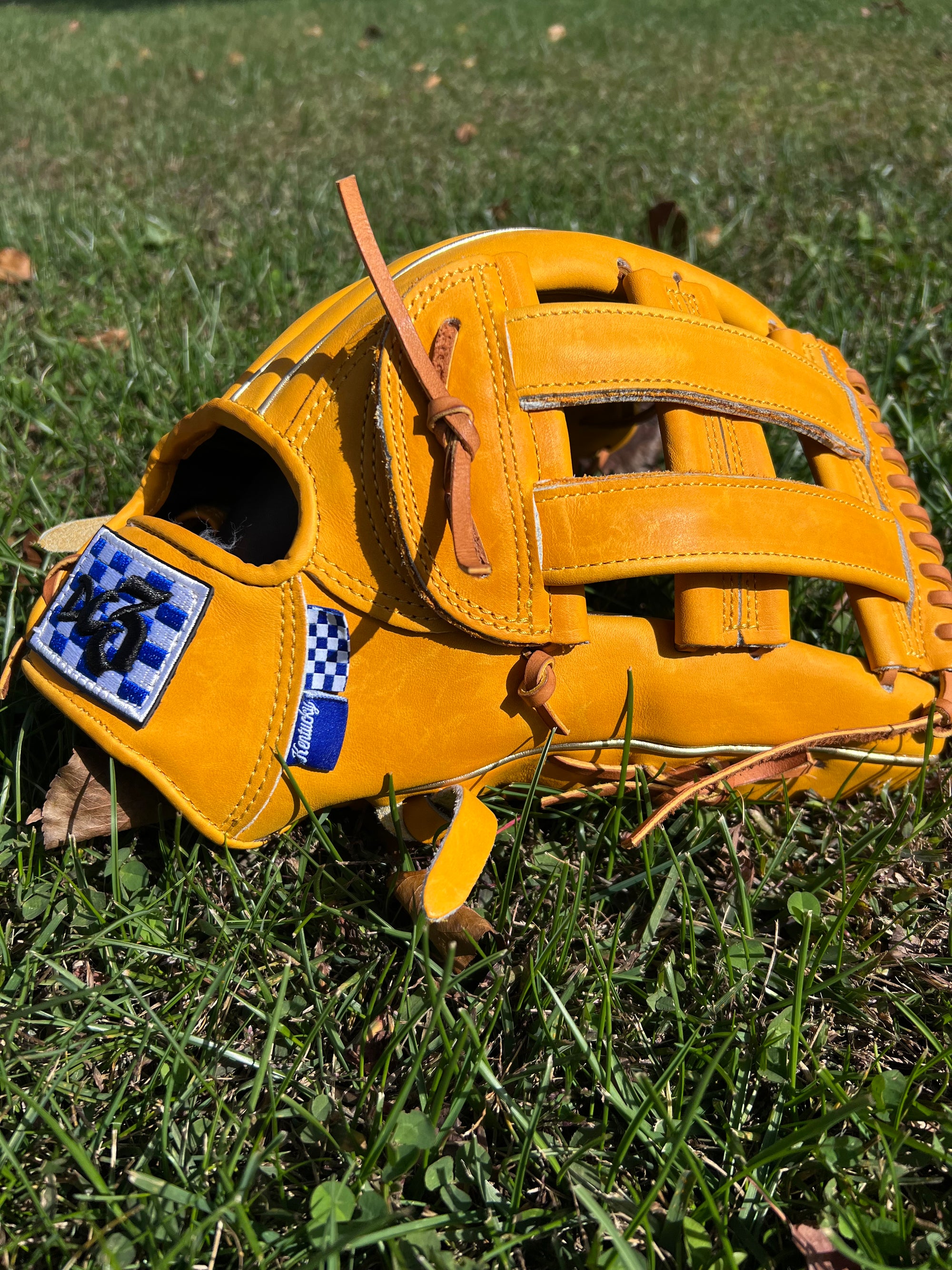 Kentucky Themed Glove