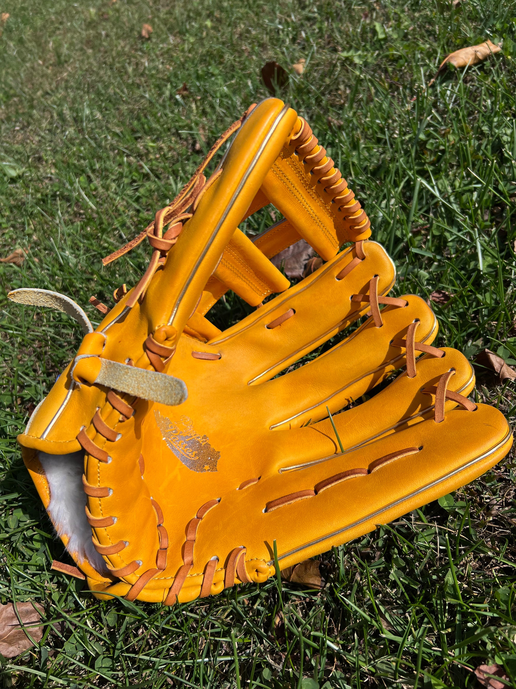 Kentucky Themed Glove